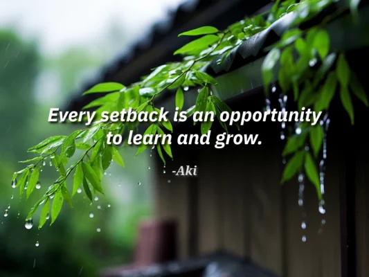 Every setback is an opportunity to learn and grow